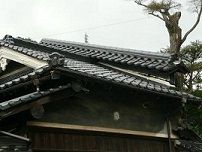 イメージ 6