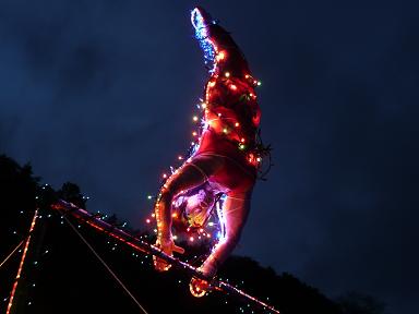 イメージ 7