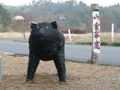 イメージ 3