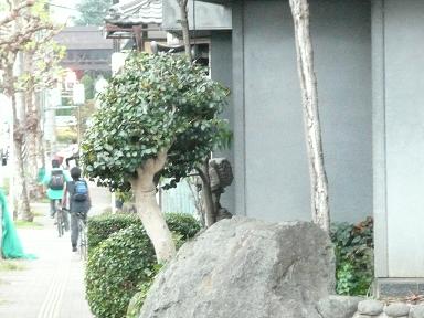 イメージ 2