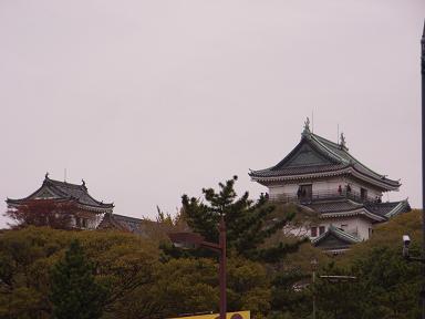 イメージ 5