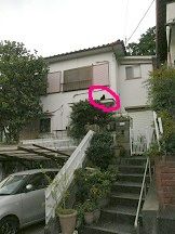 イメージ 6