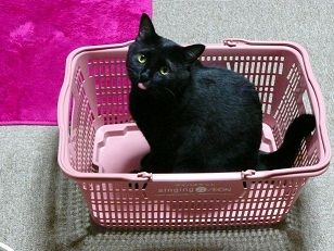 イメージ 3