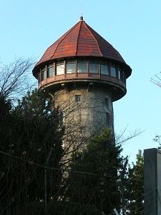 イメージ 10