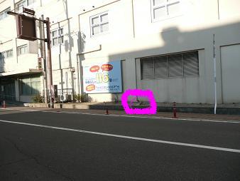 イメージ 3