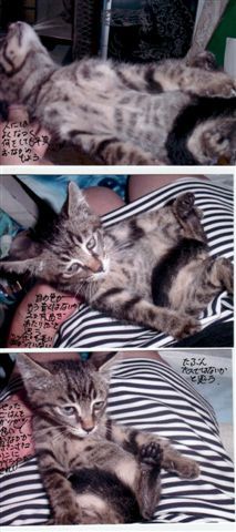イメージ 3