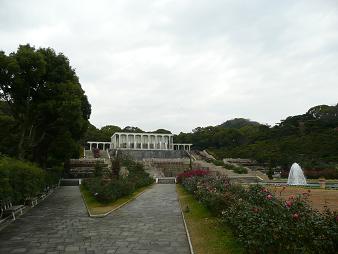 イメージ 5