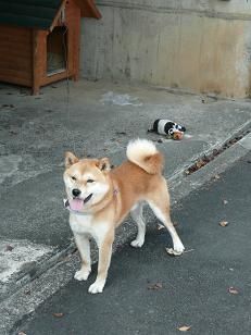イメージ 1
