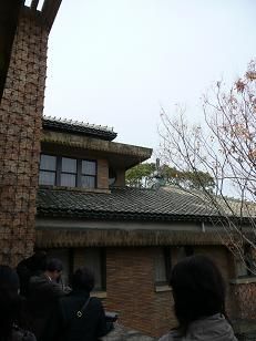 イメージ 6