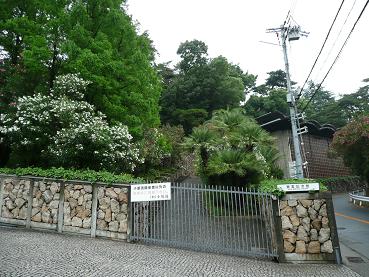 イメージ 6