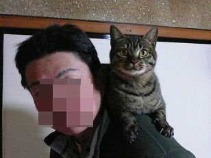 イメージ 1
