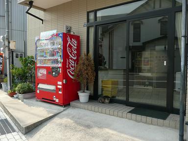 イメージ 3