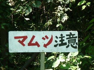 イメージ 7