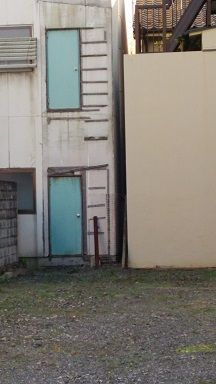 DSC_0231