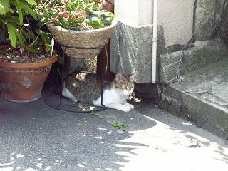 イメージ 1