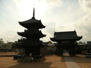 イメージ 7