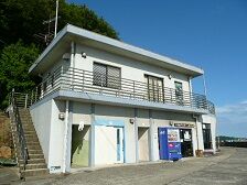 真横
