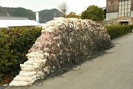 イメージ 11