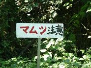 イメージ 6