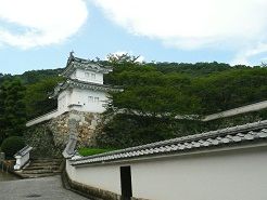 イメージ 7