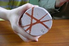 イメージ 5