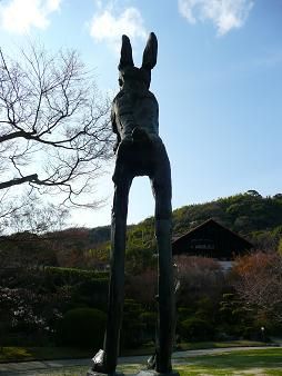 イメージ 7