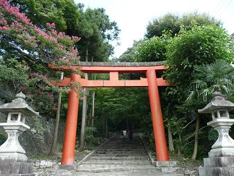 イメージ 4