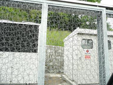 イメージ 7