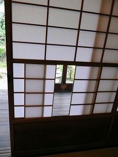 イメージ 11