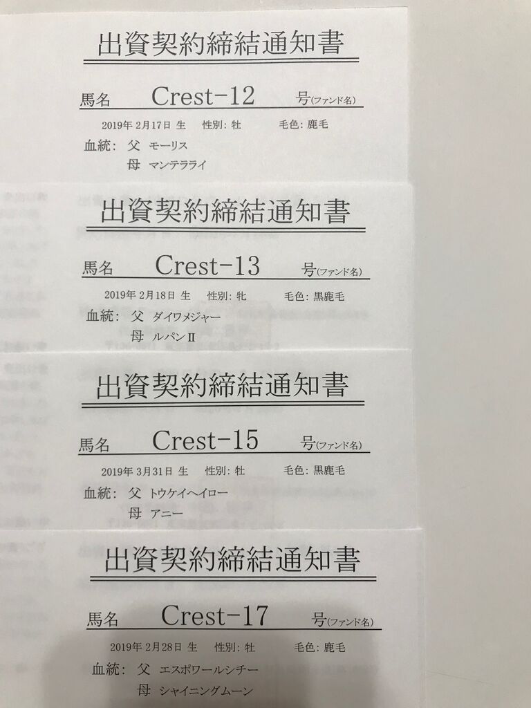 ファイト クラブ ター