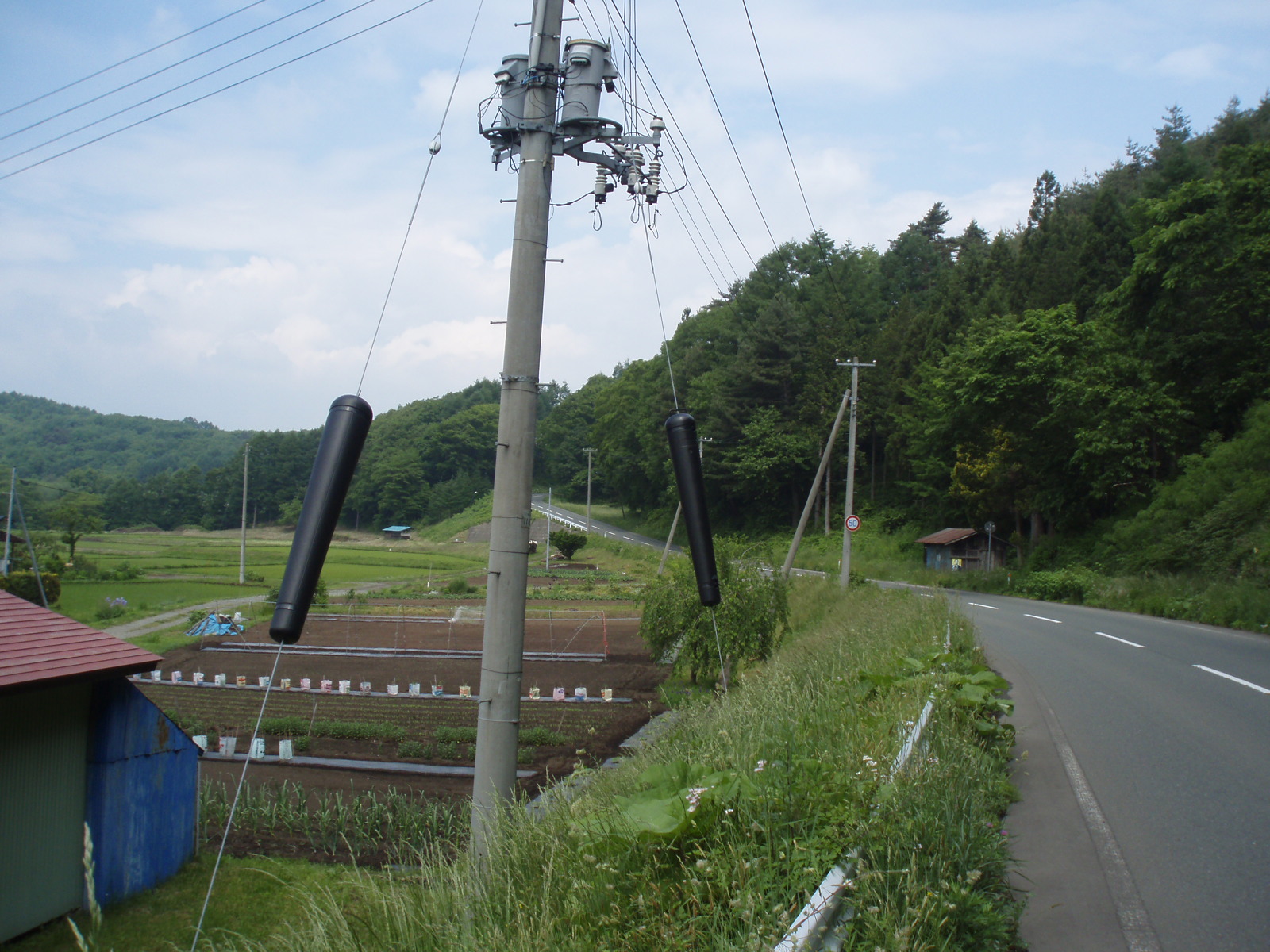 電柱の支線に何 田 舎 の 少 年 Jyagonowarashi