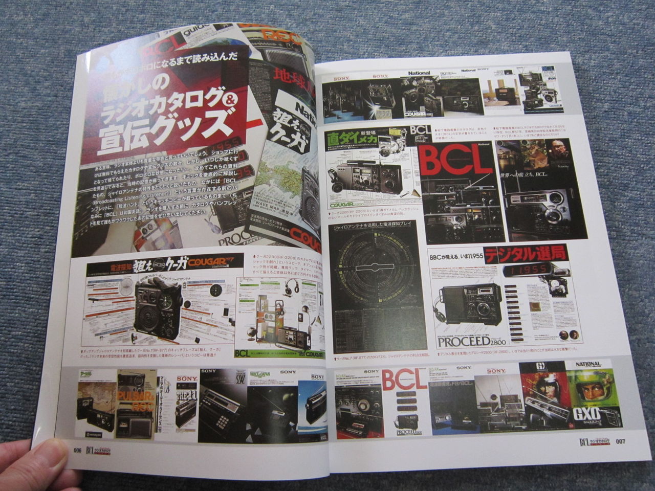 BCLラジオカタログ 完全保存版がやっと来た。 : 田 舎 の 少 年