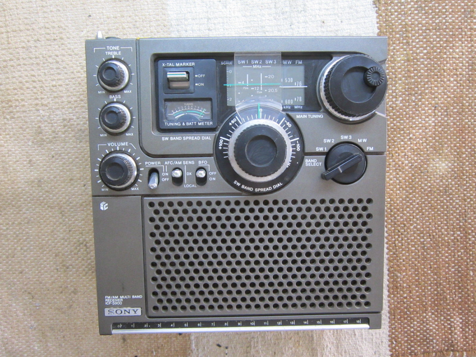 ICF－5900の作業 1 : 田 舎 の 少 年 （jyagonowarashi）