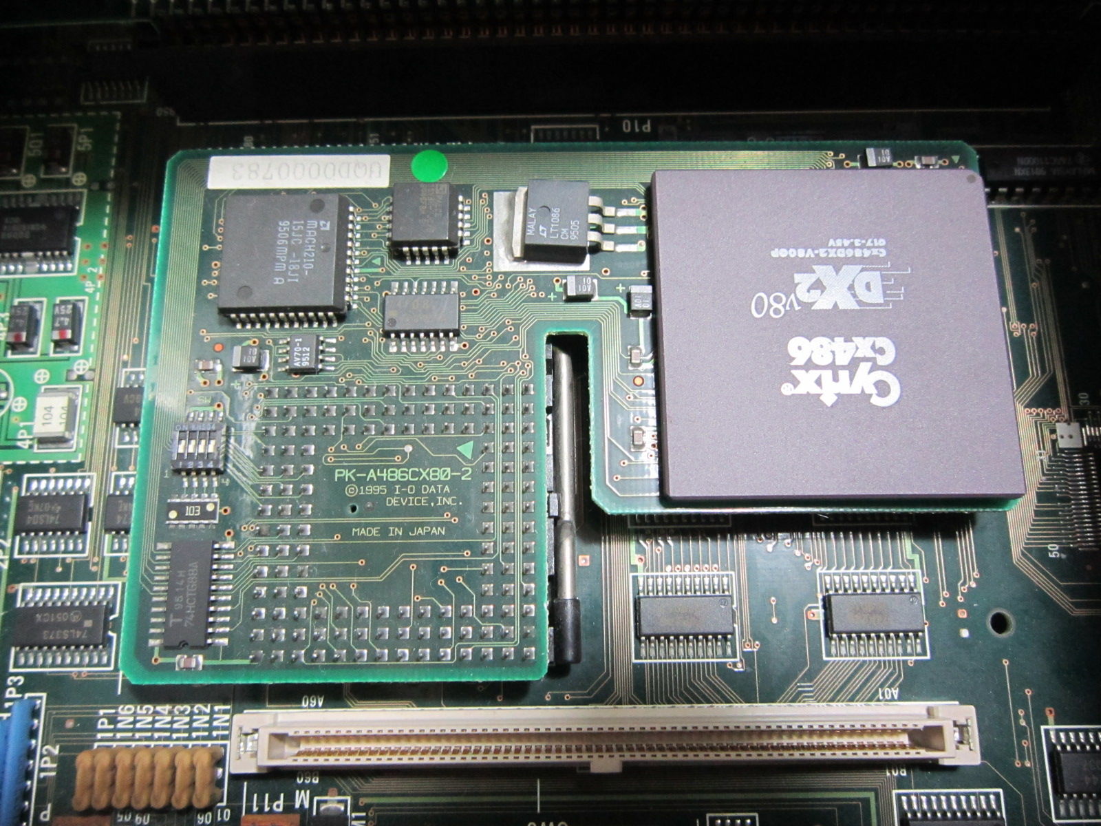 田 舎 の 少 年 （jyagonowarashi） : PC-9801 DA