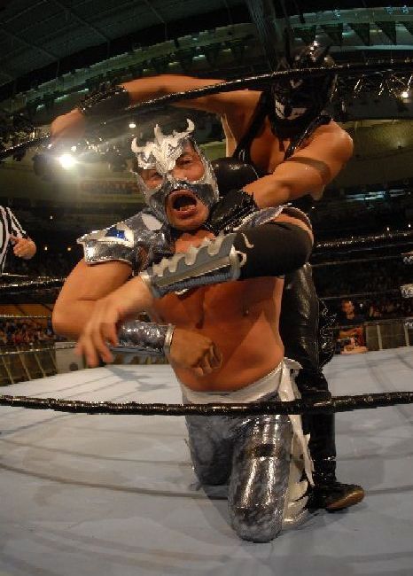 Mask Maniaへの道!!                        MISTICO TIGER