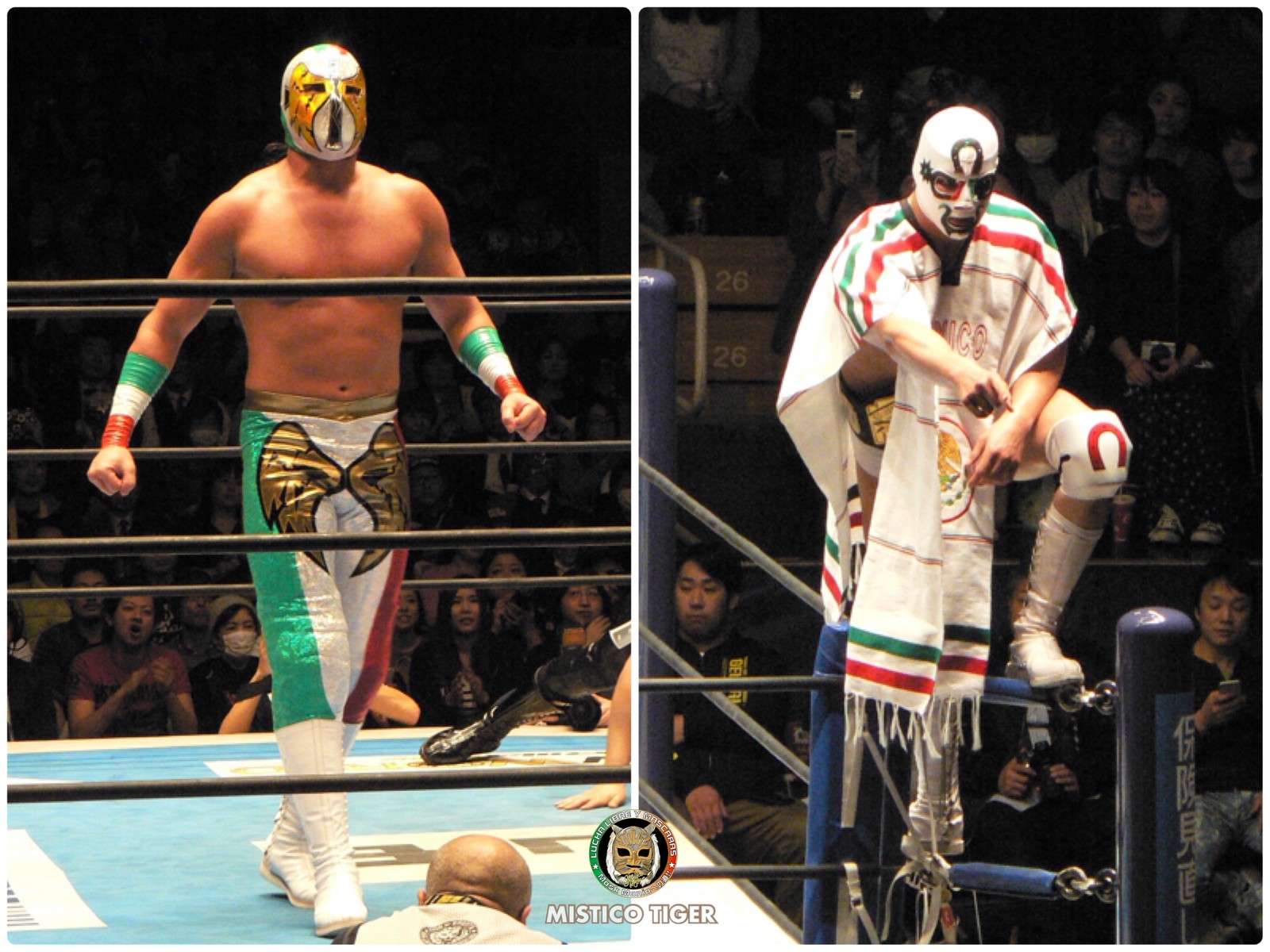 プロレス ルチャリブレ Mask Maniaへの道