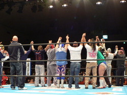 CMLL FANTASTICA MANIA 2011