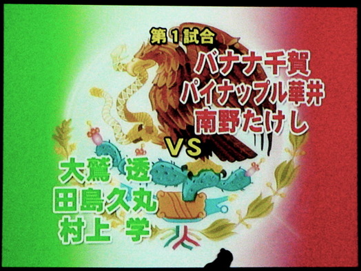 LUCHA FIESTA 2010 �裱���