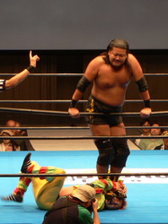 ����Ʃ �Хʥ����