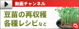 youtube_bnr