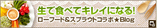 blog_bnr