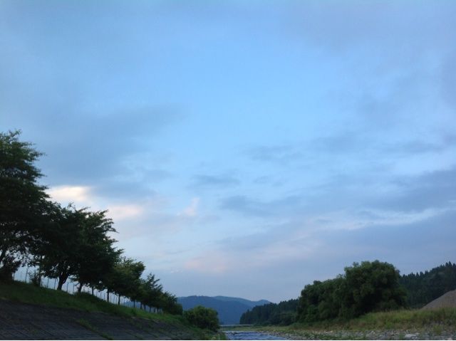 イメージ 7