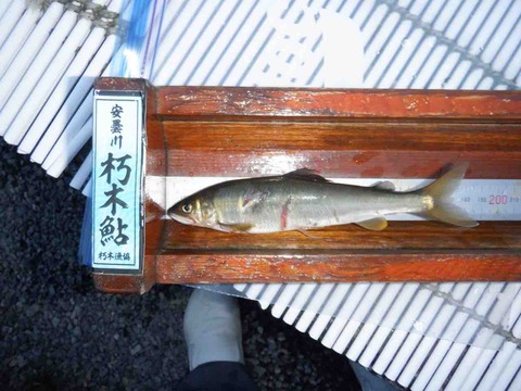 B8C74EDF-CAA0-4559-9F09-1B17FFCA6D97