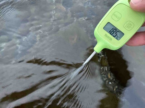 IMG_9271