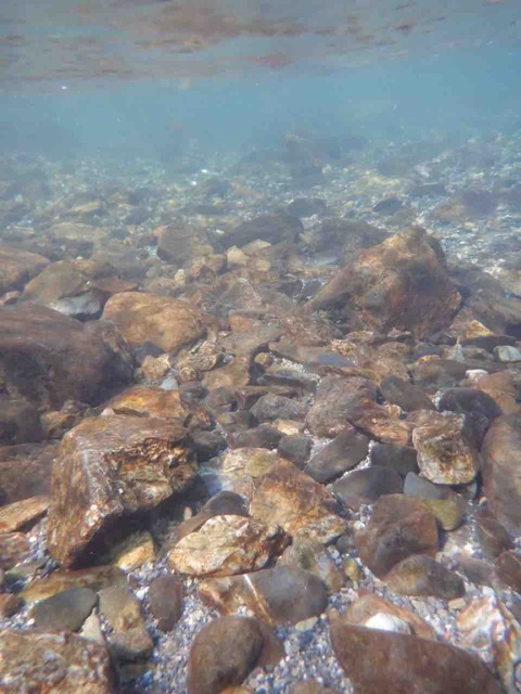 1709A215-ACC2-496B-8BEF-1412A72FB7D7