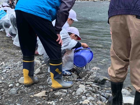 E8C52326-4BD7-44A6-A64D-F2243A5E774B