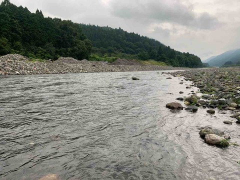 IMG_2598