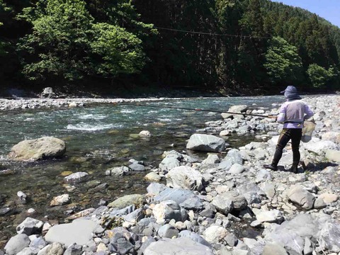 A9A27B8E-3AE3-492D-99C3-EB5B70EDF4F0