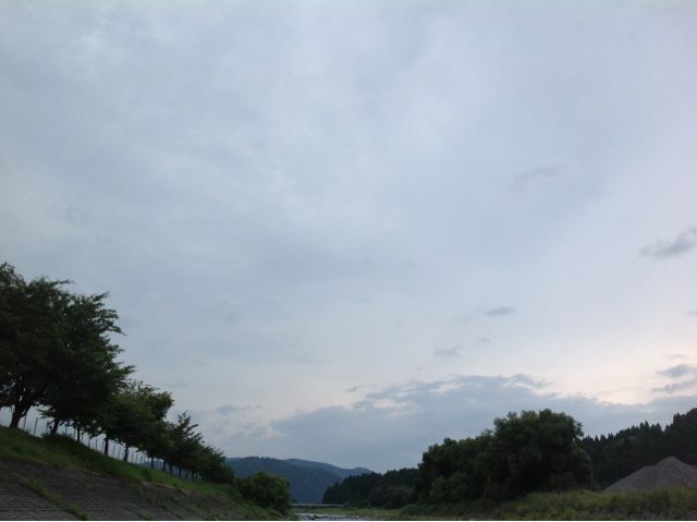 イメージ 5