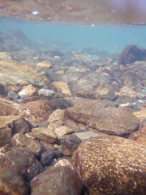 A8F6F04B-E0D7-4195-8923-13BCF98AA4A1